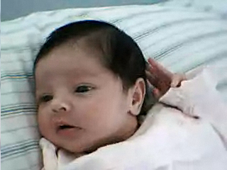 Miya 11 Days