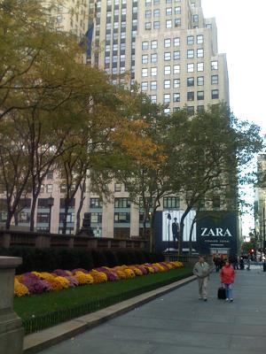 New York Public Library